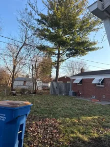 Roques Tree Service