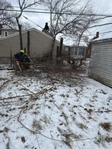 Roques Tree Service