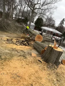 Roques Tree Service