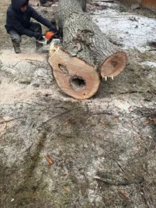 Roques Tree Service