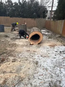 Roques Tree Service