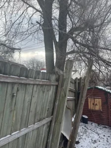Roques Tree Service