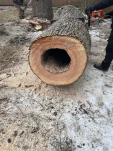 Roques Tree Service